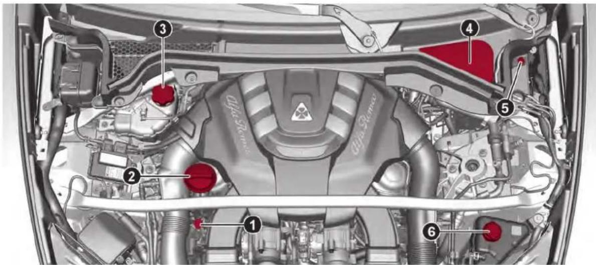 ALFA ROMEO Stelvio (2021) - COMPARTIMENT MOTEUR - 4