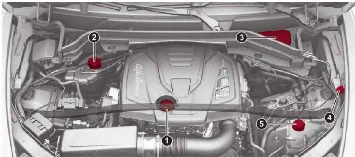 ALFA ROMEO Stelvio (2021) - COMPARTIMENT MOTEUR - 5