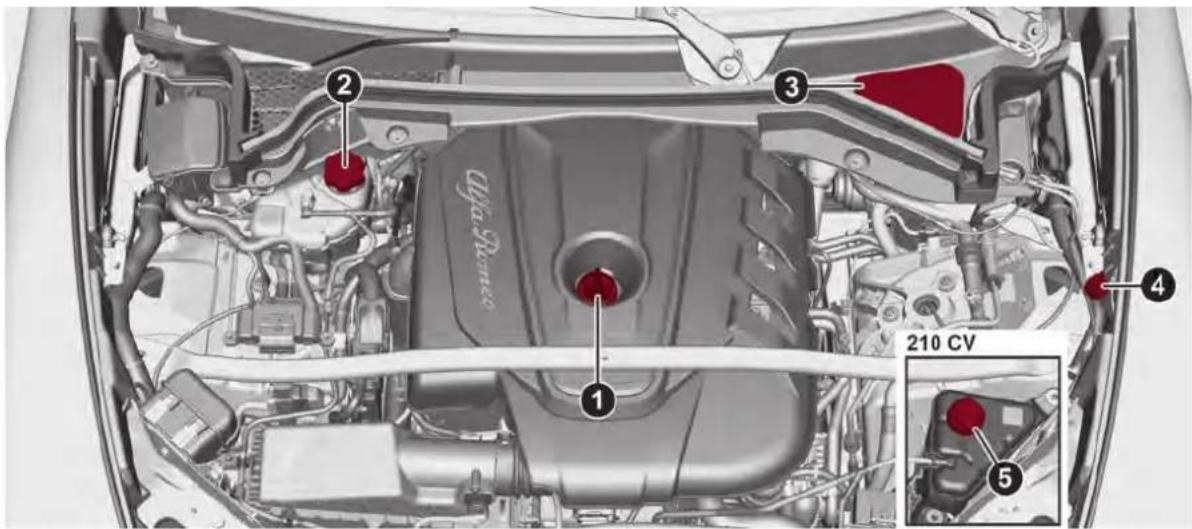 ALFA ROMEO Stelvio (2021) - Moteur 2.2 JTD - 1