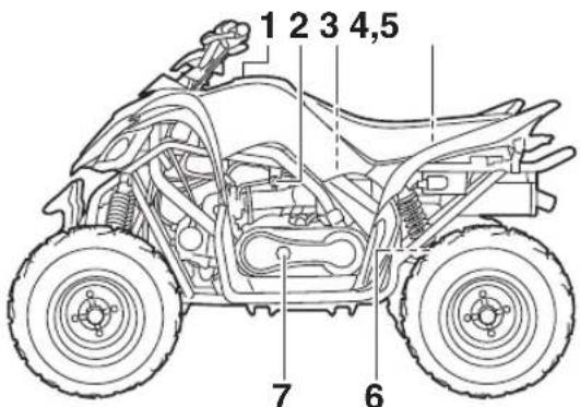 YAMAHA YFM90 (2018) - Vue gauche - 2