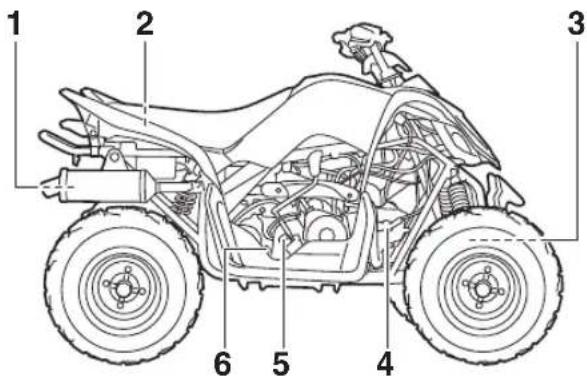 YAMAHA YFM90 (2018) - Vuedroite - 1