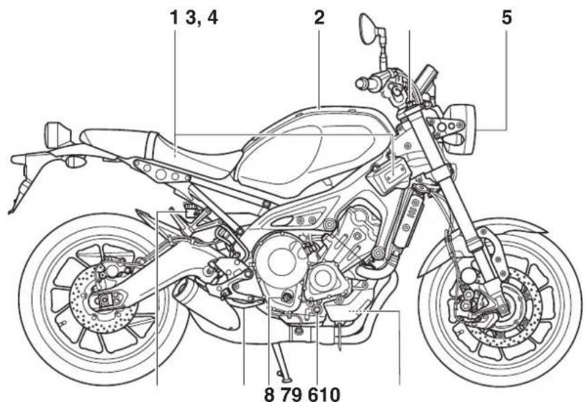 YAMAHA XSR900 (2019) - Vue droite - 1