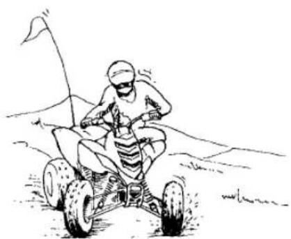 YAMAHA YFM700R (2016) - AVERTISSEMENT - 2