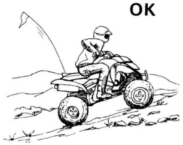 YAMAHA YFM700R (2016) - AVERAGEMENT - 1