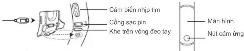 HONOR Band 5 - Sac thiet bi - 1