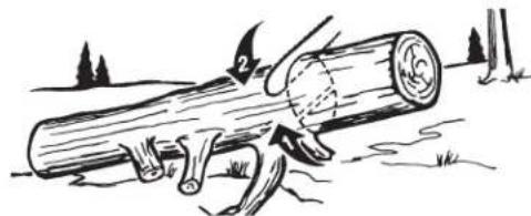 TROY-BILT TB4920CC - TRONCONNAGE - 2