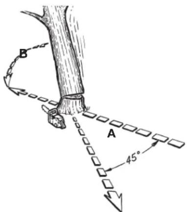 TROY-BILT TB4920CC - ABATTAGE - 3