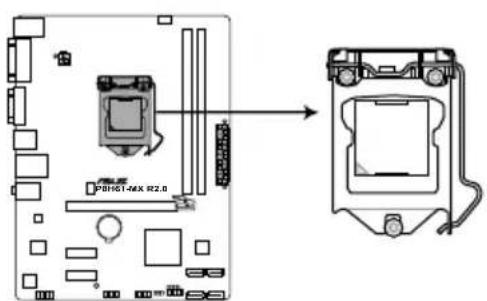 ASUS P8H61MX USB3 - 安装中央处理器 - 1