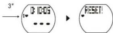 CRIVIT 1LD5029 - 1.Temps d'entrainment - 3