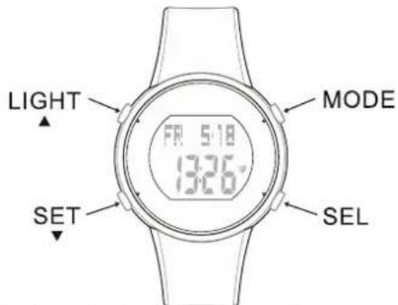 CRIVIT 1LD5029 - Important heart rate monitor watch usage information - 1