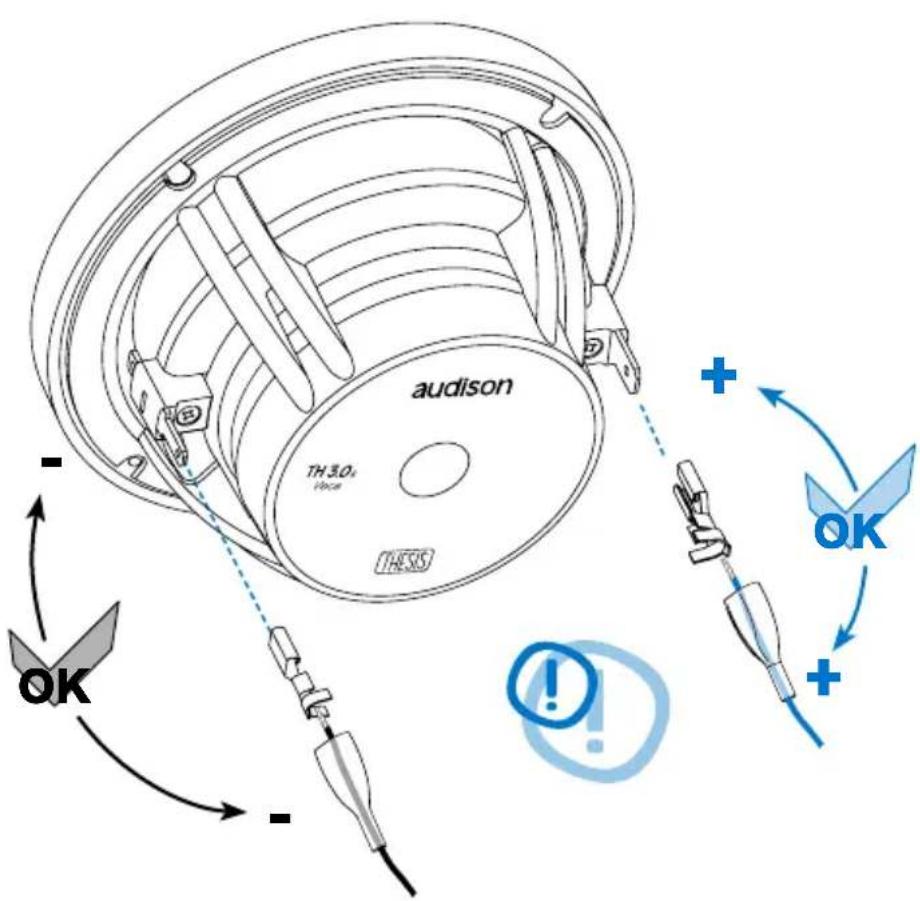AUDISON Thesis TH 3.0 II Voce - TH 3.0 II Voce - 2