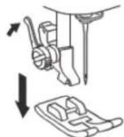 SOLAC Cotton 12 SW8229 - Install the buttonhole presser foot. - 1