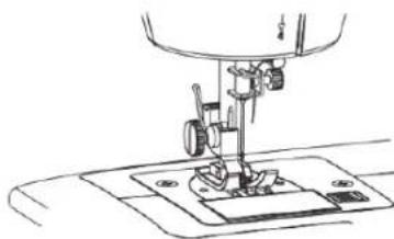 SOLAC Cotton 12 SW8229 - Enfilage du FIL supérieur - 5