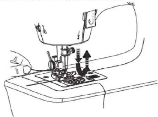 SOLAC Cotton 12 SW8229 - THREAD THEBOBBINTRHEAD - 3