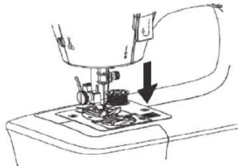 SOLAC Cotton 12 SW8229 - BOBINADO DE HILO DE LA CANILLA - 2