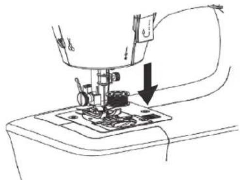 SOLAC Cotton 12 SW8229 - THREAD THEBOBBINTRHEAD - 2