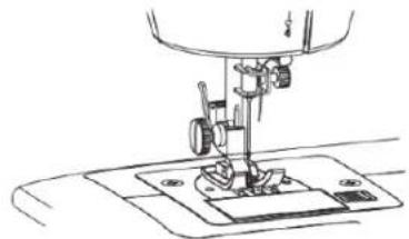 SOLAC Cotton 12 SW8229 - ENFIAMENTO DA LINHA SUPERIOR - 5