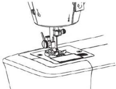 SOLAC Cotton 12 SW8229 - Reemplacement de l'aiguille - 1
