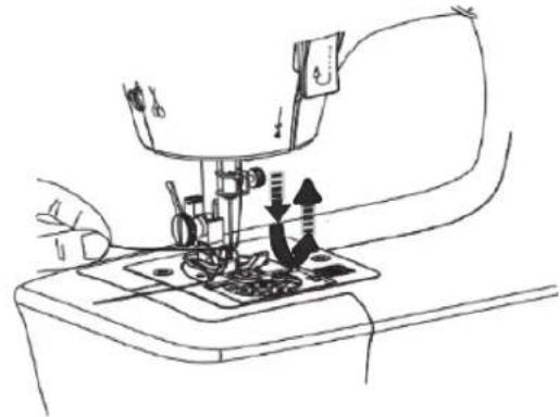 SOLAC Cotton 12 SW8229 - BOBINADO DE HILO DE LA CANILLA - 3