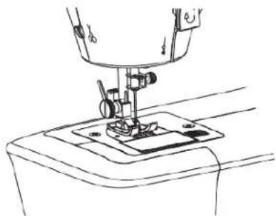 SOLAC Cotton 12 SW8229 - SUSTITUCION DE LA AGUJA - 1