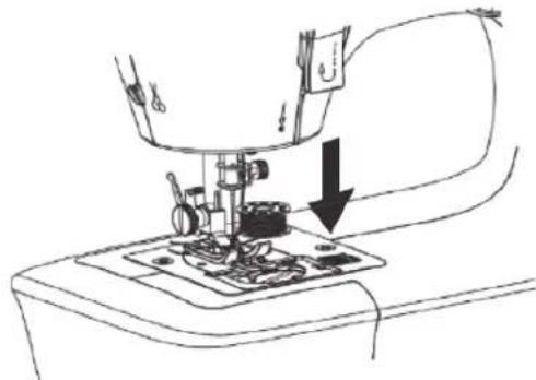 SOLAC Cotton 12 SW8229 - BOBINAMENTO DA LINHA DA BOBINA - 2