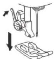 SOLAC Cotton 12 SW8229 - Colocacion del prensatelas para ojales. - 1