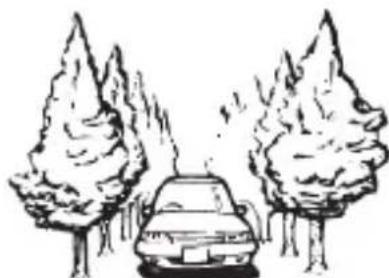 PIONEER AVICZ6330BT - Lors de la conduite à travers une ford est dense ou des arbres hauts - 1