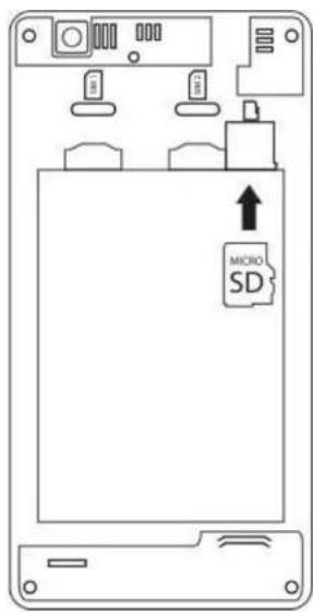 ECHO Fusion - Installation de la carte mémoire - 1