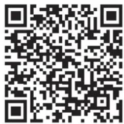 TAURUS T9.9 Black Edition - ACCESSOIRES RECOMMANDÉS - 1