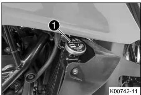 KTM 250 Duke (2020) - Pnoeiobtoin - 1