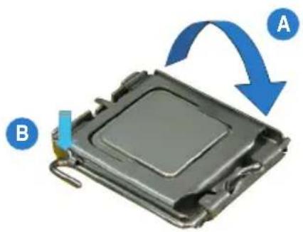 ASUS P5NT WS - Installer le CPU - 9