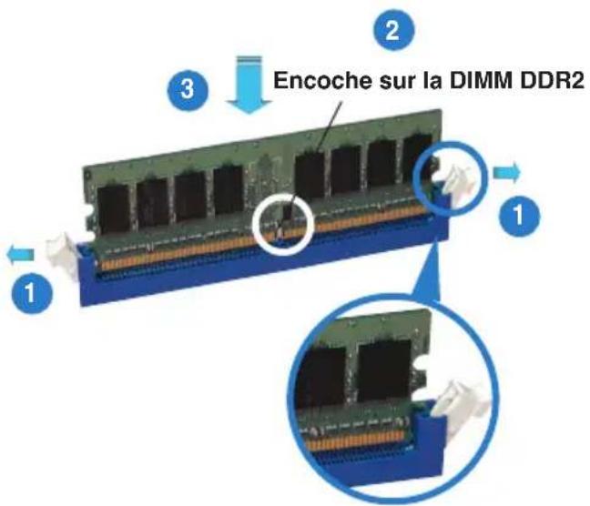 ASUS P5NT WS - Installer une DIMM - 2