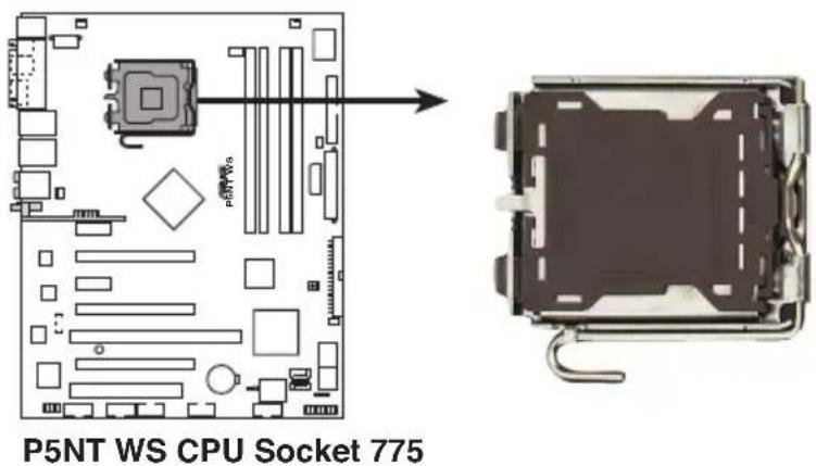 ASUS P5NT WS - Installer le CPU - 1