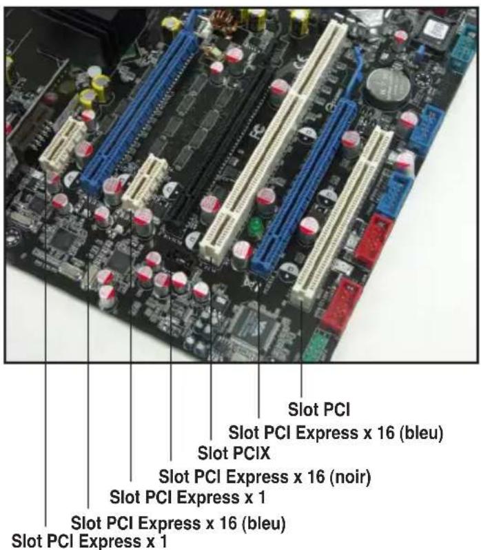 ASUS P5NT WS - Slots PCI Express x16 - 1