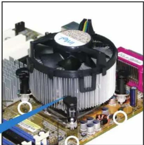 ASUS P5NT WS - Installer le dissipateur et le ventilateur du CPU - 4