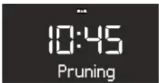 SONORO Stereo SO310 - Afb. 38: Niet-actieve DAB-zenders wissen - 1