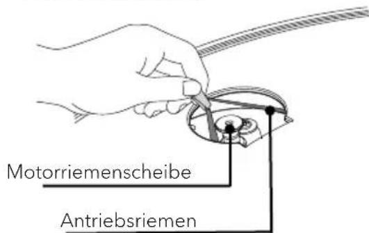 SONORO Platinum SO2000 - Anbringen des Antriebsriemens - 2