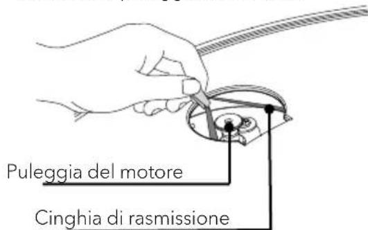 SONORO Platinum SO2000 - Applicazione della cinghia di trasmissione - 2