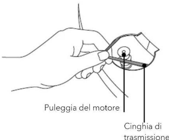 SONORO Platinum SO2000 - Sostituzione del fonorivelatore - 3
