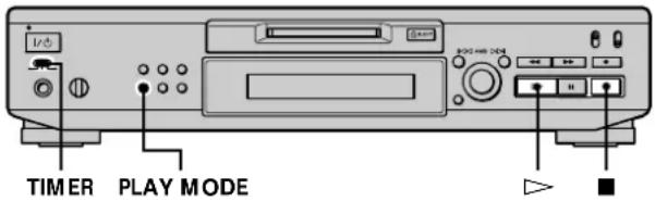 SONY MDSJE530 - Using a Timer - 1