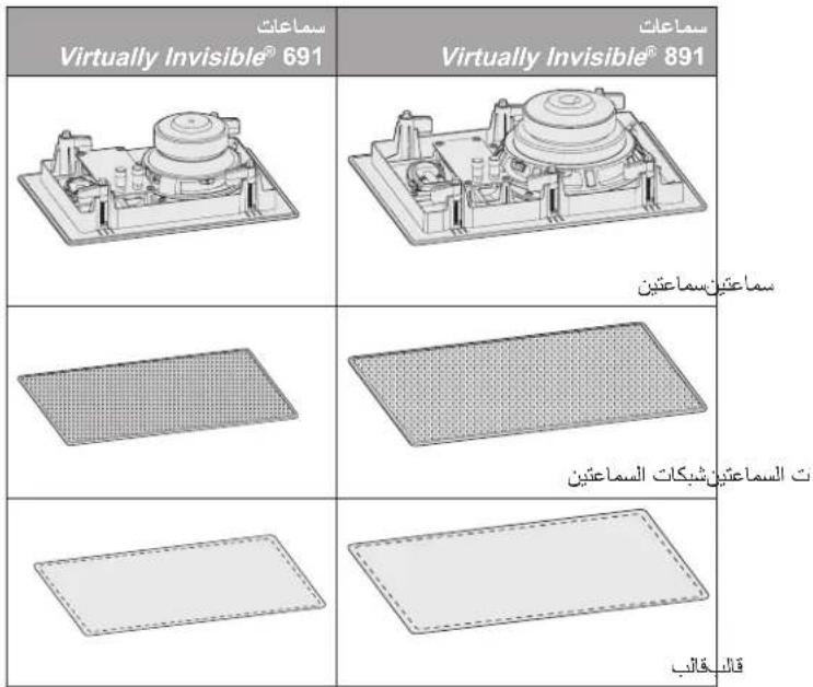 BOSE Virtually Invisible 89 - y - 1