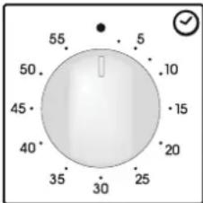 CANDY FLE05026X - MINUTENZÄHLER - 1