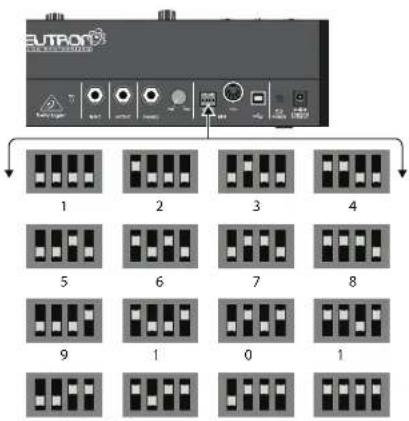 BEHRINGER NEUTRON - FACE ARRIERE - 1