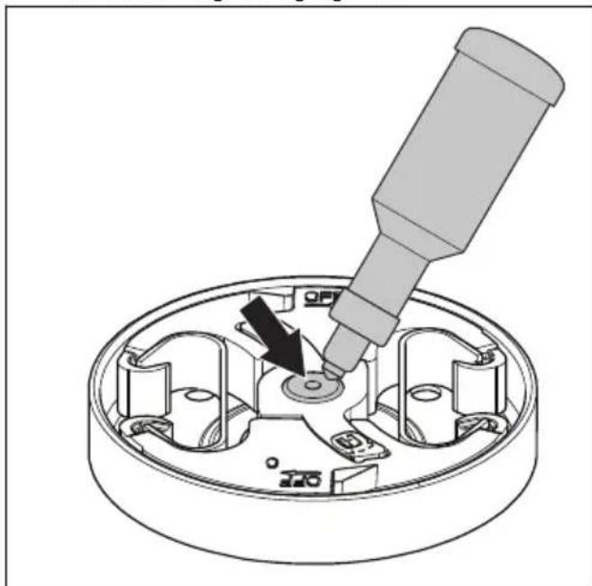 HUSQVARNA 543 XP - Het naaldlager smeren - 1