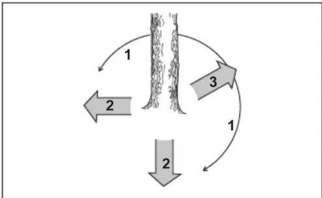 HUSQVARNA 543 XP - Émondage des branches basses et préparation de votre retraite - 2