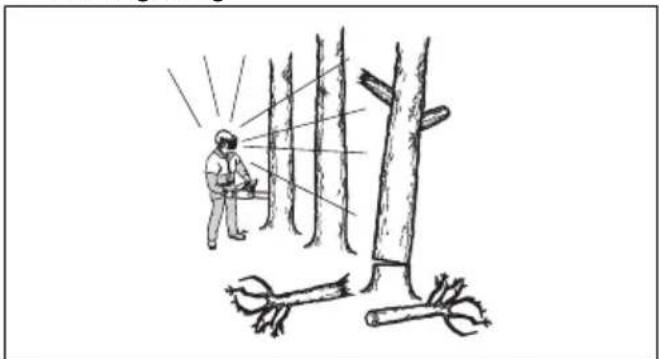 HUSQVARNA 543 XP - To keep a safe distance - 2