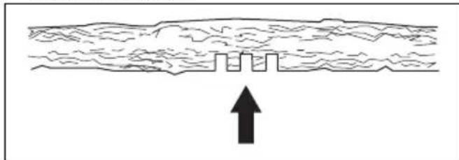 HUSQVARNA 543 XP - Taglio di tronchi e rami in tensione - 6
