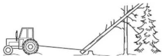 HUSQVARNA 543 XP - Sprostitev ukleschenega drevesa - 5