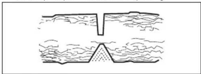 HUSQVARNA 543 XP - Bomen en takken zagen die onder spanning staan - 3