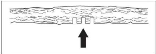 HUSQVARNA 543 XP - Bomen en takken zagen die onder spanning staan - 6